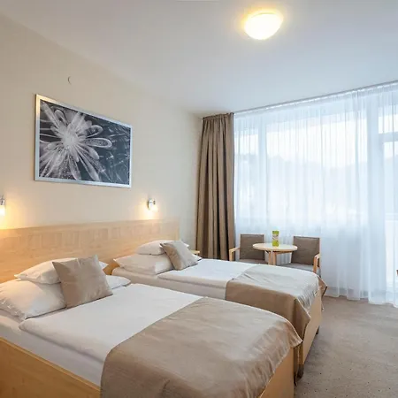 Behounek Hotel Jachymov
