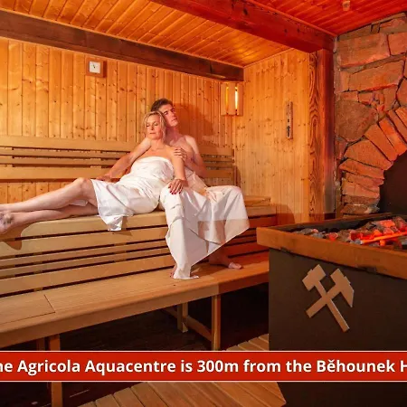 Behounek 3*