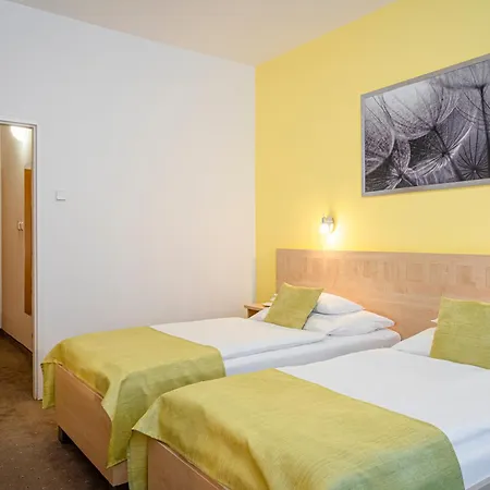 Behounek Hotel Jáchymov