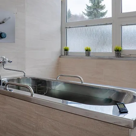 Hotel Behounek Jáchymov