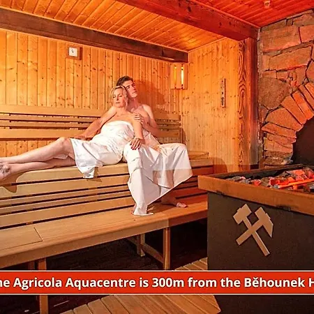 Behounek Hotel