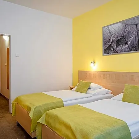 Hotel Behounek Jáchymov