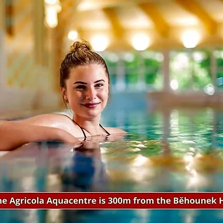 Behounek