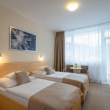 Hotel Behounek Jáchymov