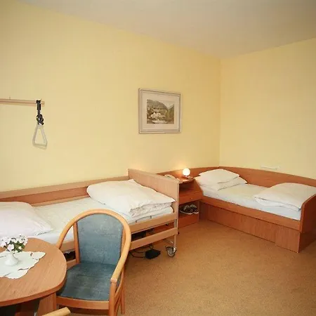 Behounek Hotel Jáchymov