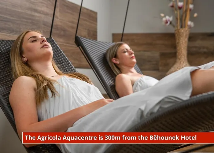Отель Behounek 3*